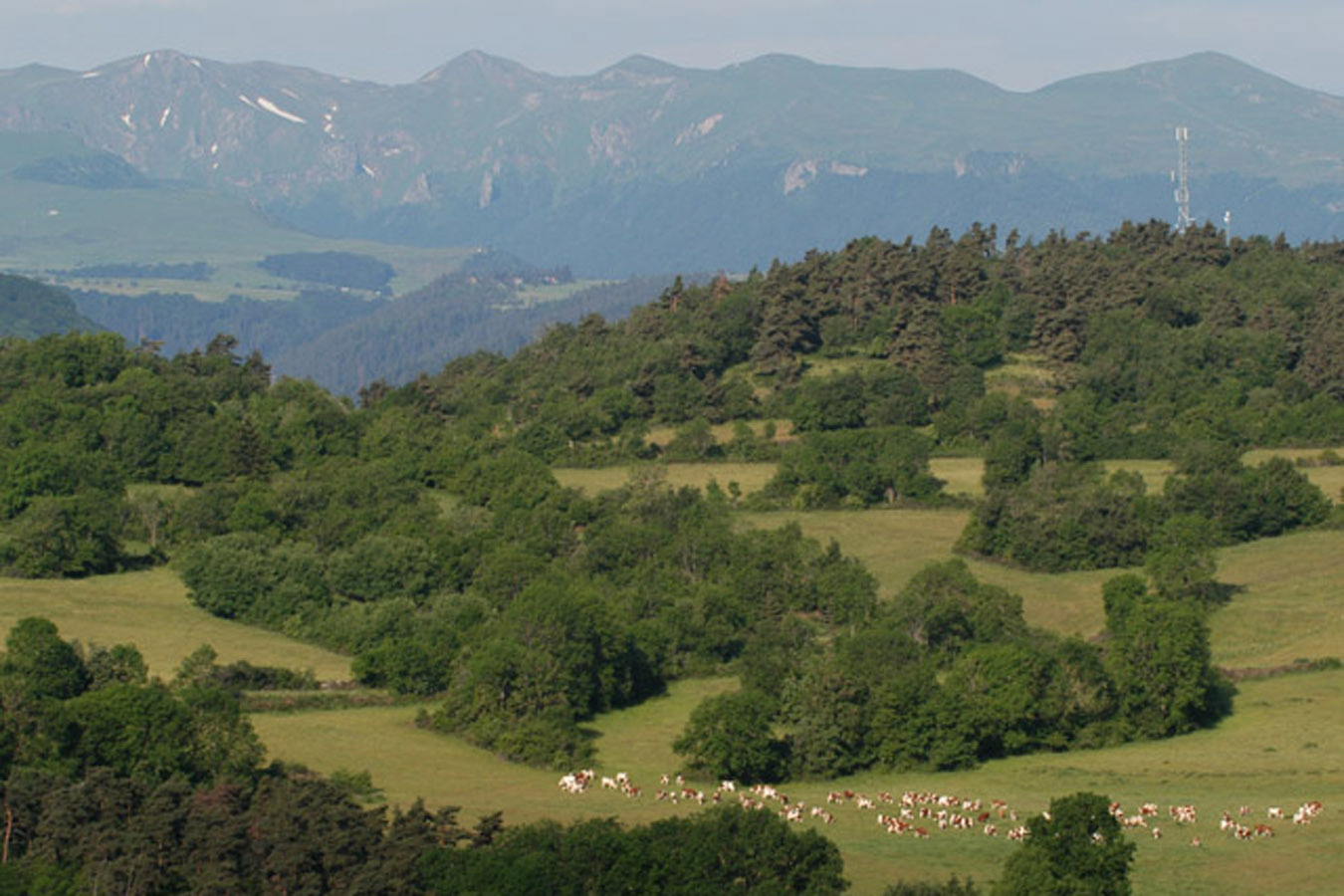 La Ferme Bellonte