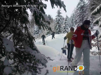 Randonnée accompagnée : Escapade Nordique dans les Bois Mary_Le Claux