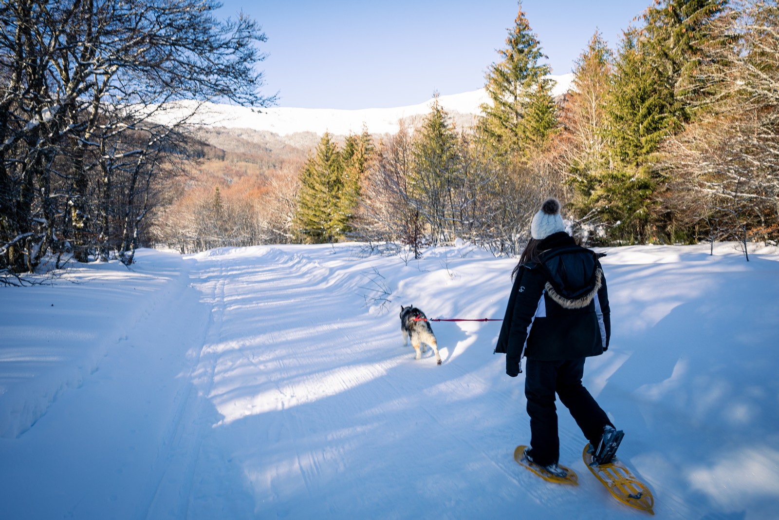 Cani-marche_Le Claux