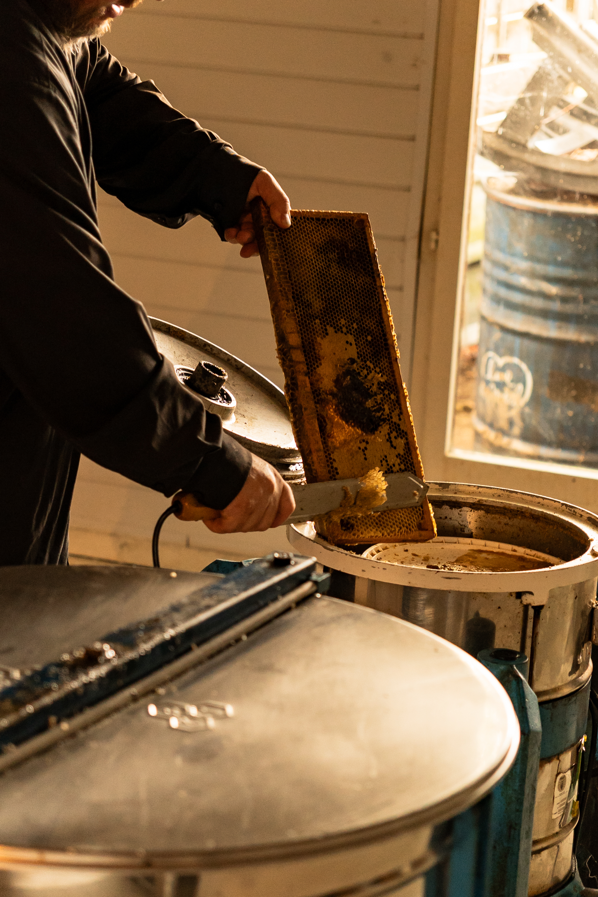 La maison du miel et des plantes_Beaulieu
