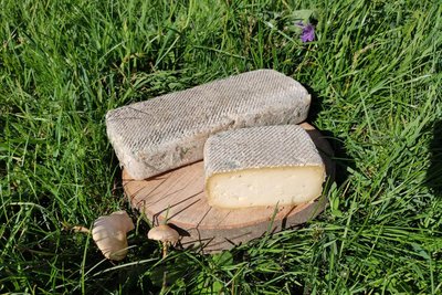 Fromage du Père Boyer_Besse-et-Saint-Anastaise