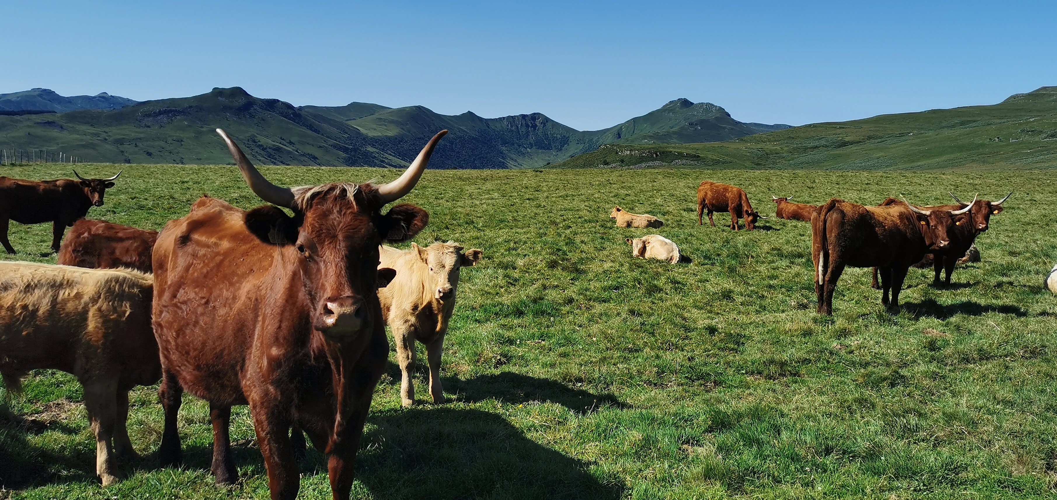 Séjour pour les accompagnants des cyclistes_Dienne