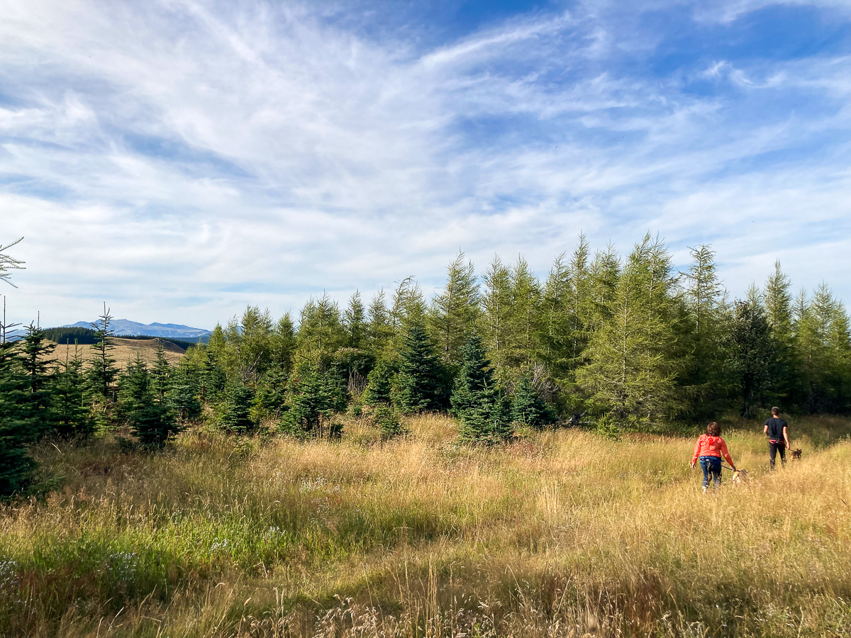 Cani rando Cézallier