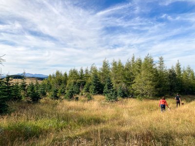 Cani rando Cézallier