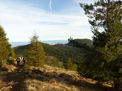 Sortie volcanique et tectonique au puy des Gouttes