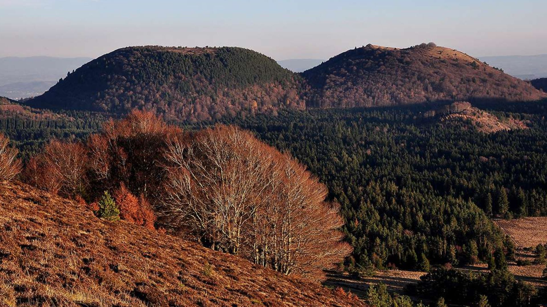Sortie volcanique et tectonique : Le puy des Goules et le Grand Sarcoui_Saint-Ours