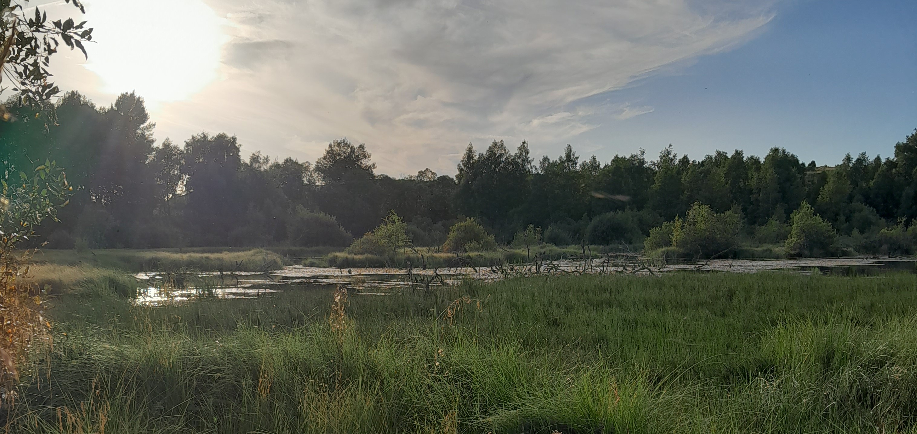 Stage jeunes et tourbières formule 4 jours / 3 nuits_Murat