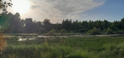 Stage jeunes et tourbières formule 4 jours / 3 nuits_Murat