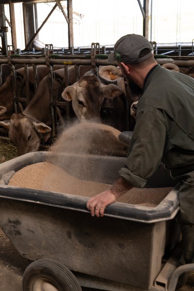 Ferme Les Montagnes de Pierre_Saint-Martin-Valmeroux
