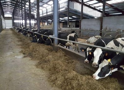 Visite de la ferme