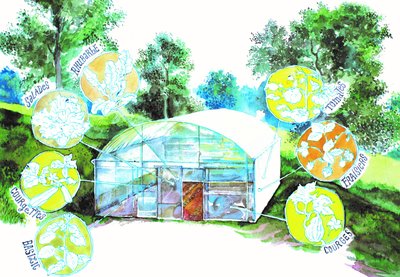 Festival Voix & Patrimoines 2025 - ANIMATION -_Cros