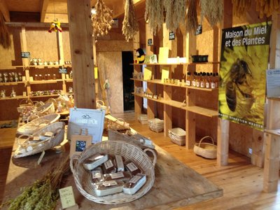 Visite de la maison du miel et des plantes_Beaulieu