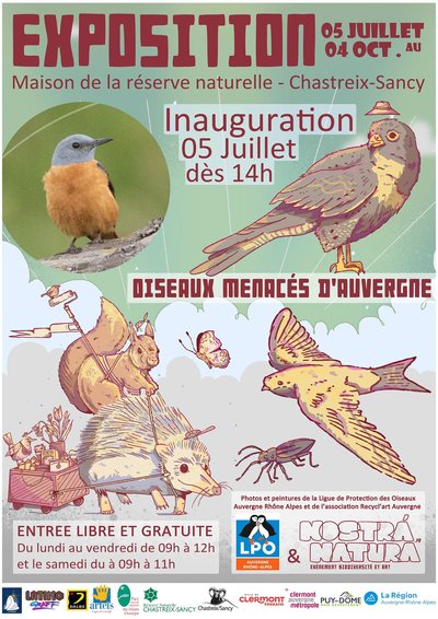 Exposition : les oiseaux menacés d'Auvergne_Chastreix