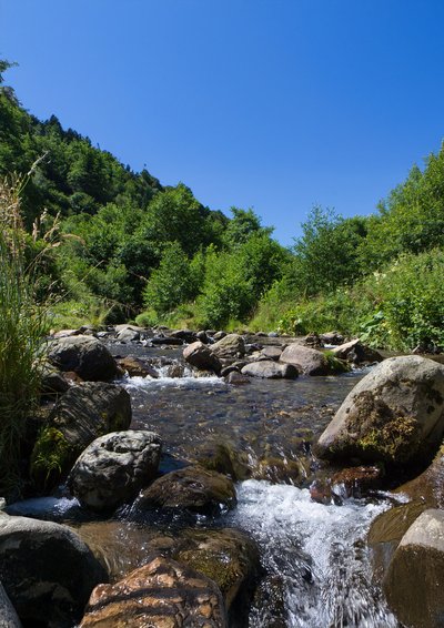 Sortie au fil de l'eau - la couze Chambon