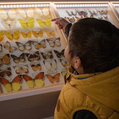 Journées Européennes du Patrimoien - La Maison de la Faune_Murat
