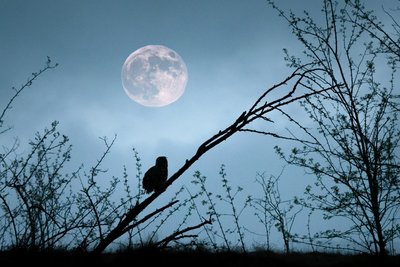 Jour de la Nuit