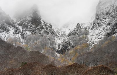 Exposition "Passages dans la vallée de Chaudefour"_Orcival