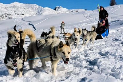 Les Traineaux de Superbesse_Picherande