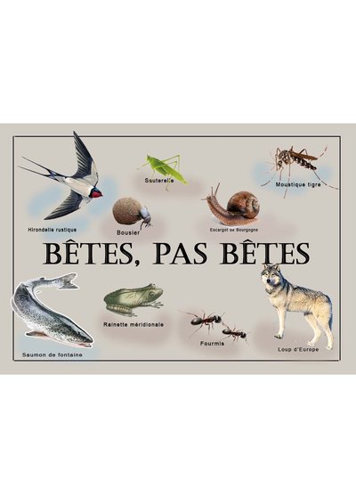 Bêtes, pas bêtes !_Besse-et-Saint-Anastaise