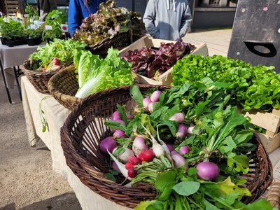Marché hebdomadaire_Champs-sur-Tarentaine-Marchal