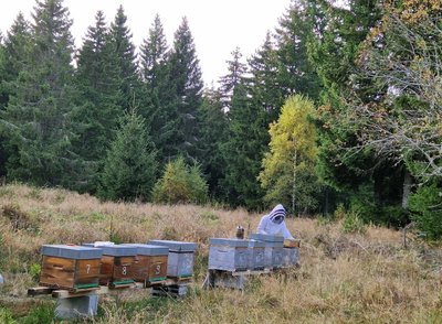 Visite de la miellerie_Valuéjols