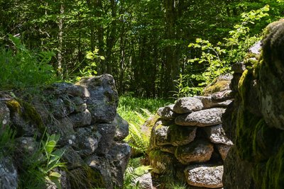 Au détour d'une case, vous croiserez peut-être une fée...