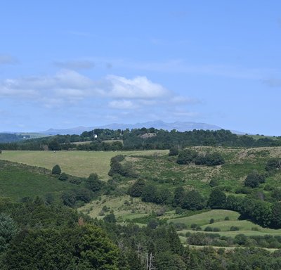 Point de vue sur le massif du Sancy