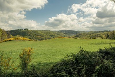 paysage de l'Artense