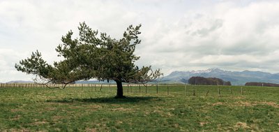 Vue sur le Massif du Sancy