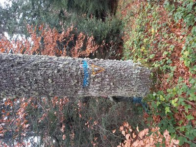 Arbre à biodiversité