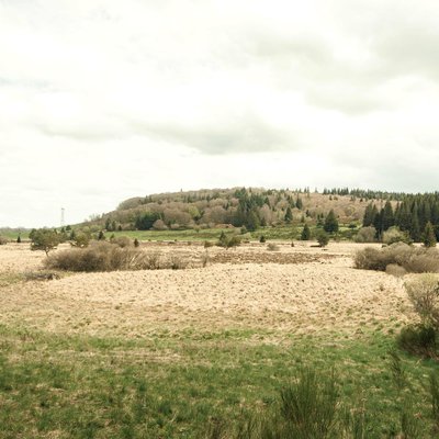 la tourbière de Bourdouze au sortir de l'hiver