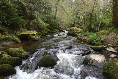 Les gorges de la Monne