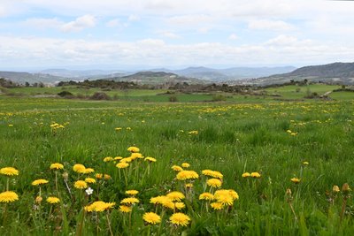 Panorama sur les communes et puys alentours