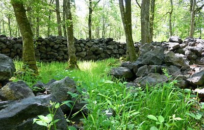 Camp des Chazaloux