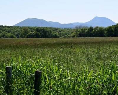 Point de vue sur la Chaîne des Puys