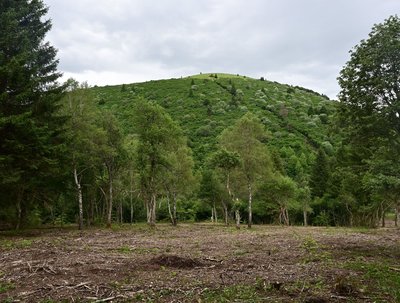 Au pied du Puy de Côme