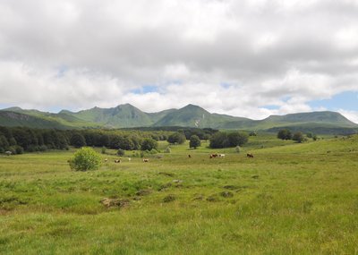 Vue sur le massif du Sancy