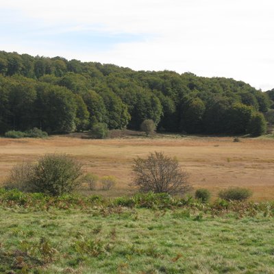 Tourbière de Rimat