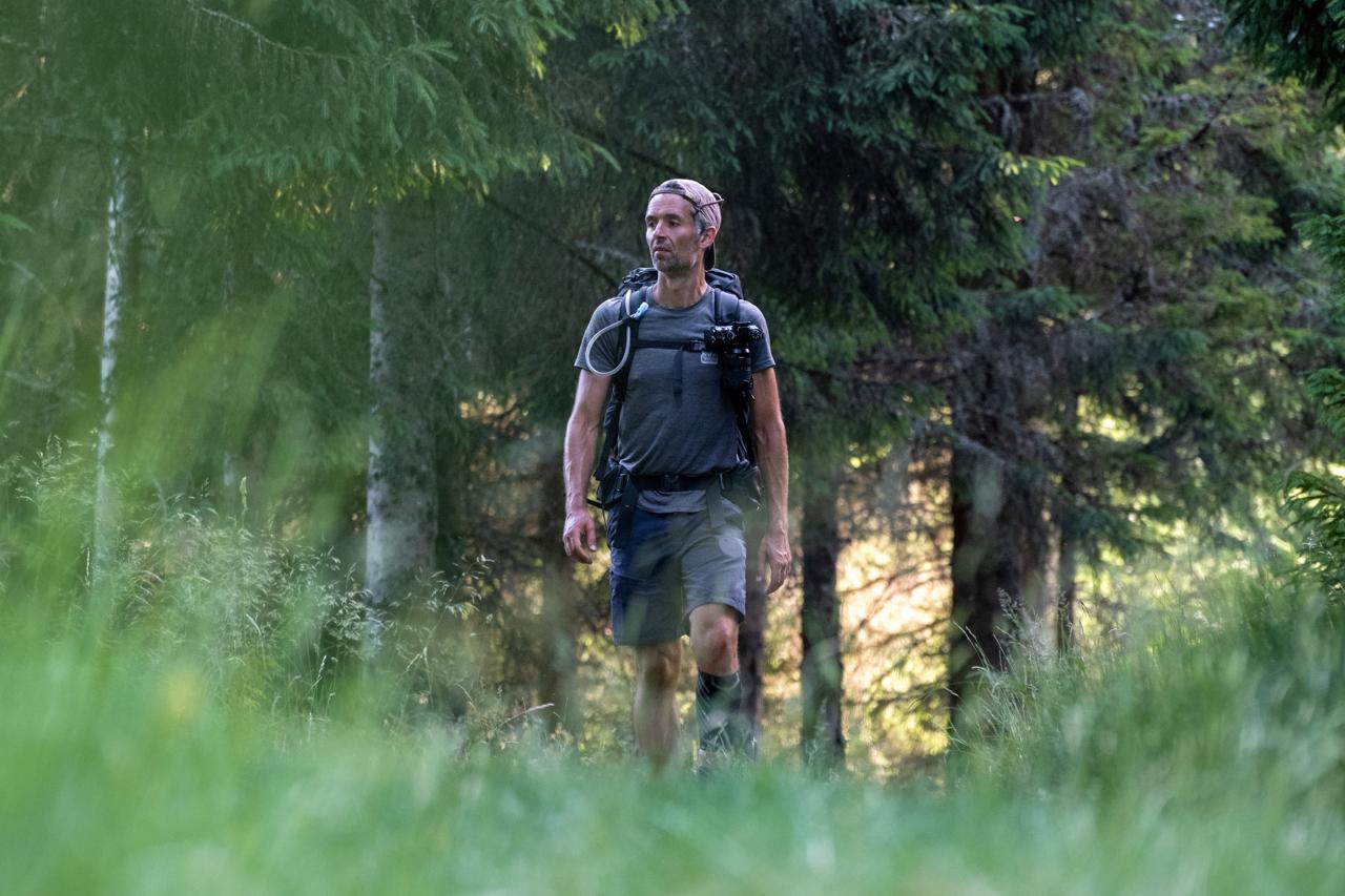 Bois de la Pinatelle