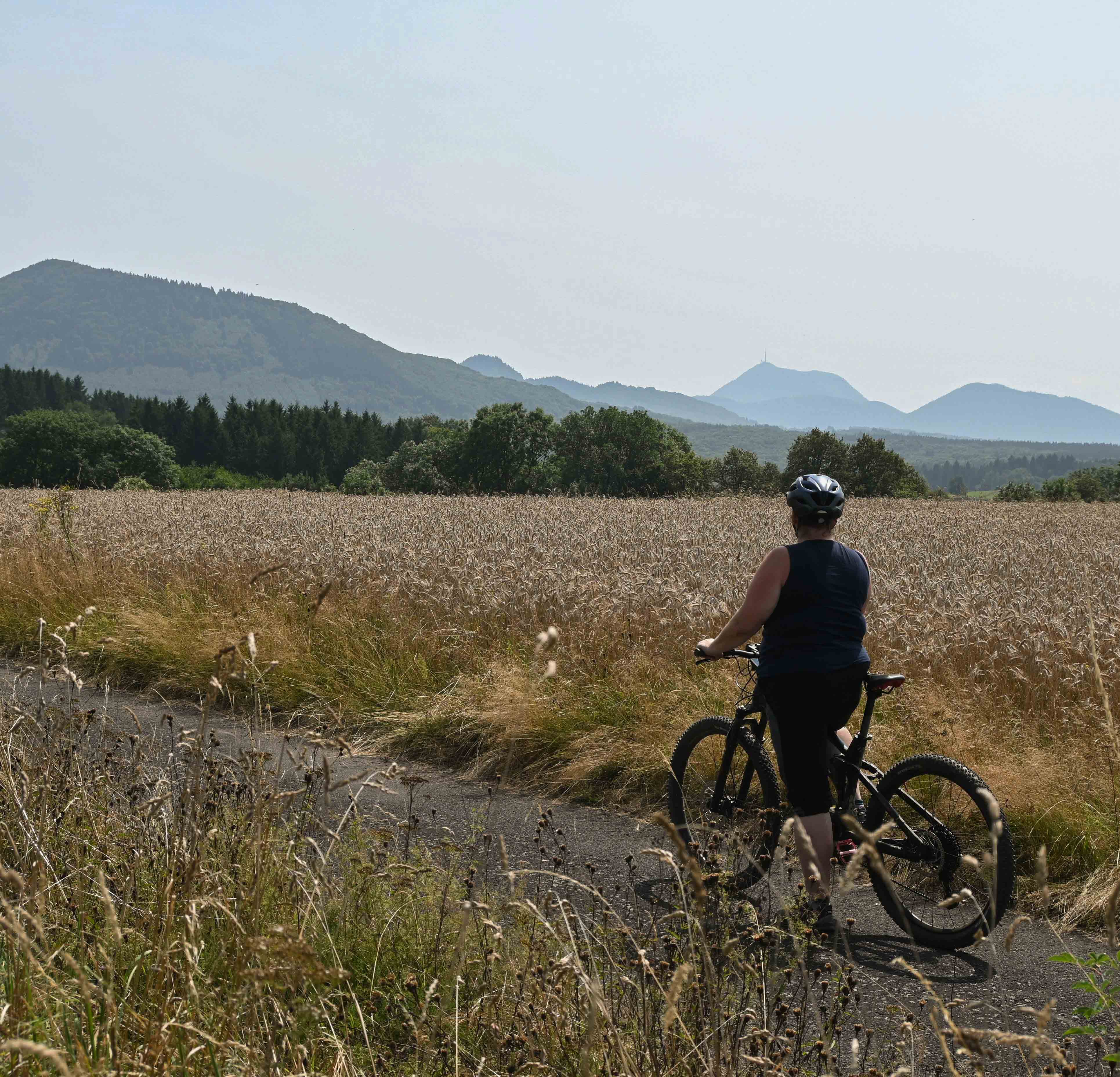 Point de vue sur la Chaîne des Puys