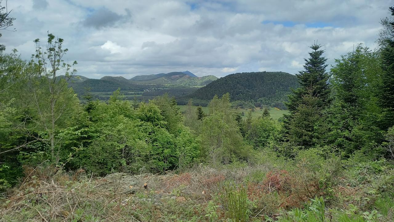 Vue sur la Chaîne des Puys