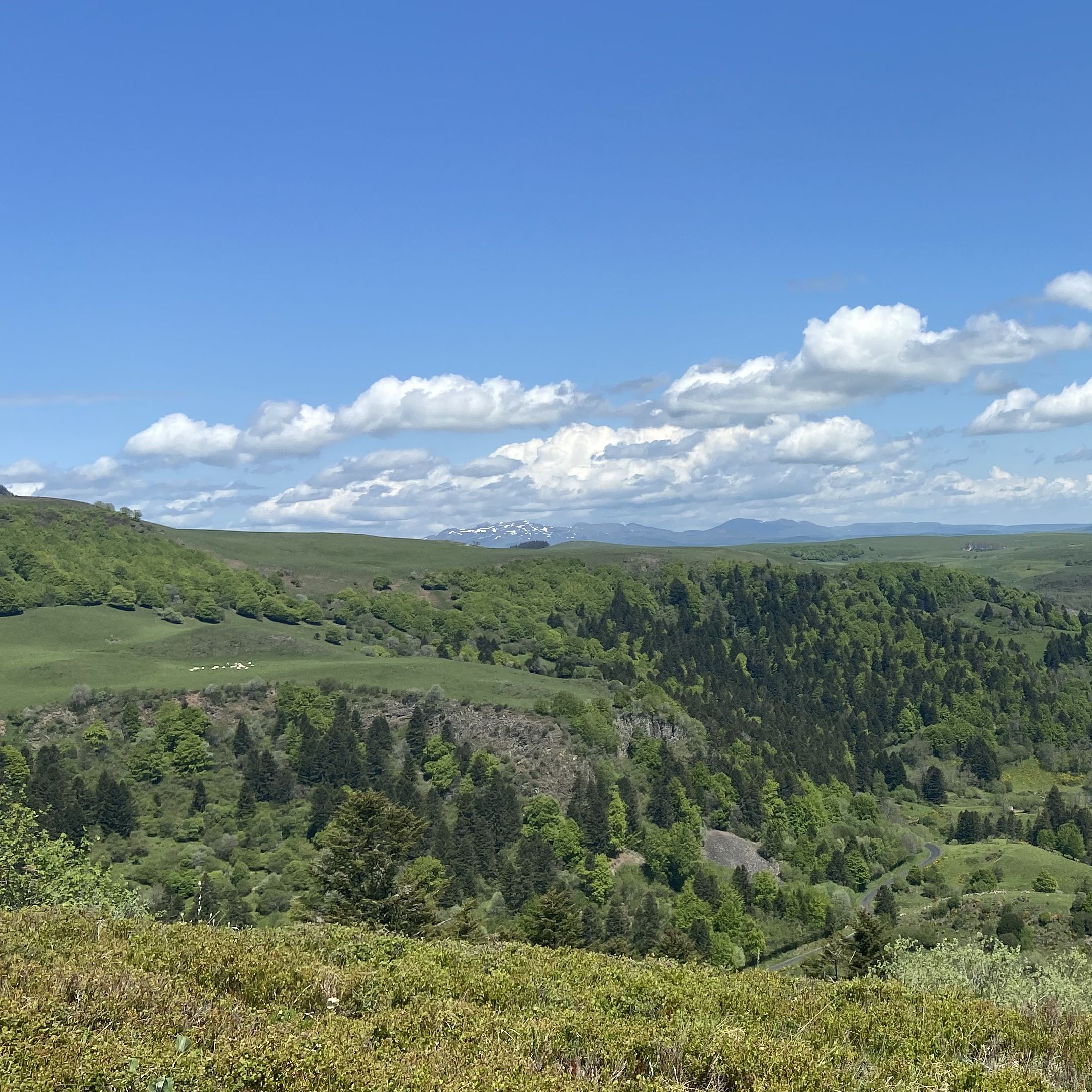 Point de vue sur les Monts Dore depuis Artout