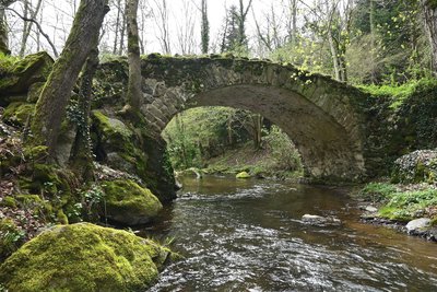 Le pont de Riberolles