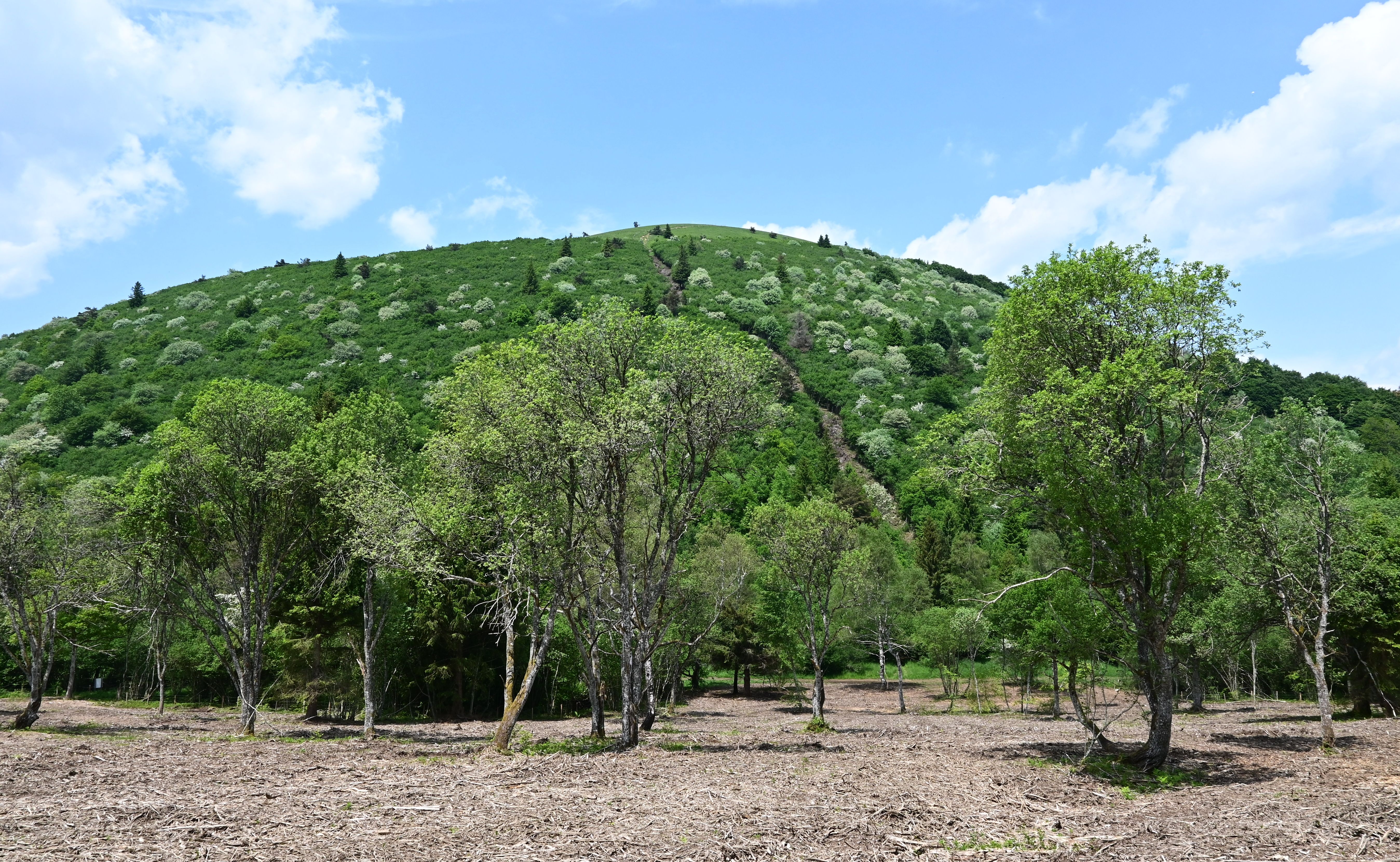 Puy de Côme