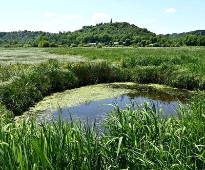 Marais de Paloux