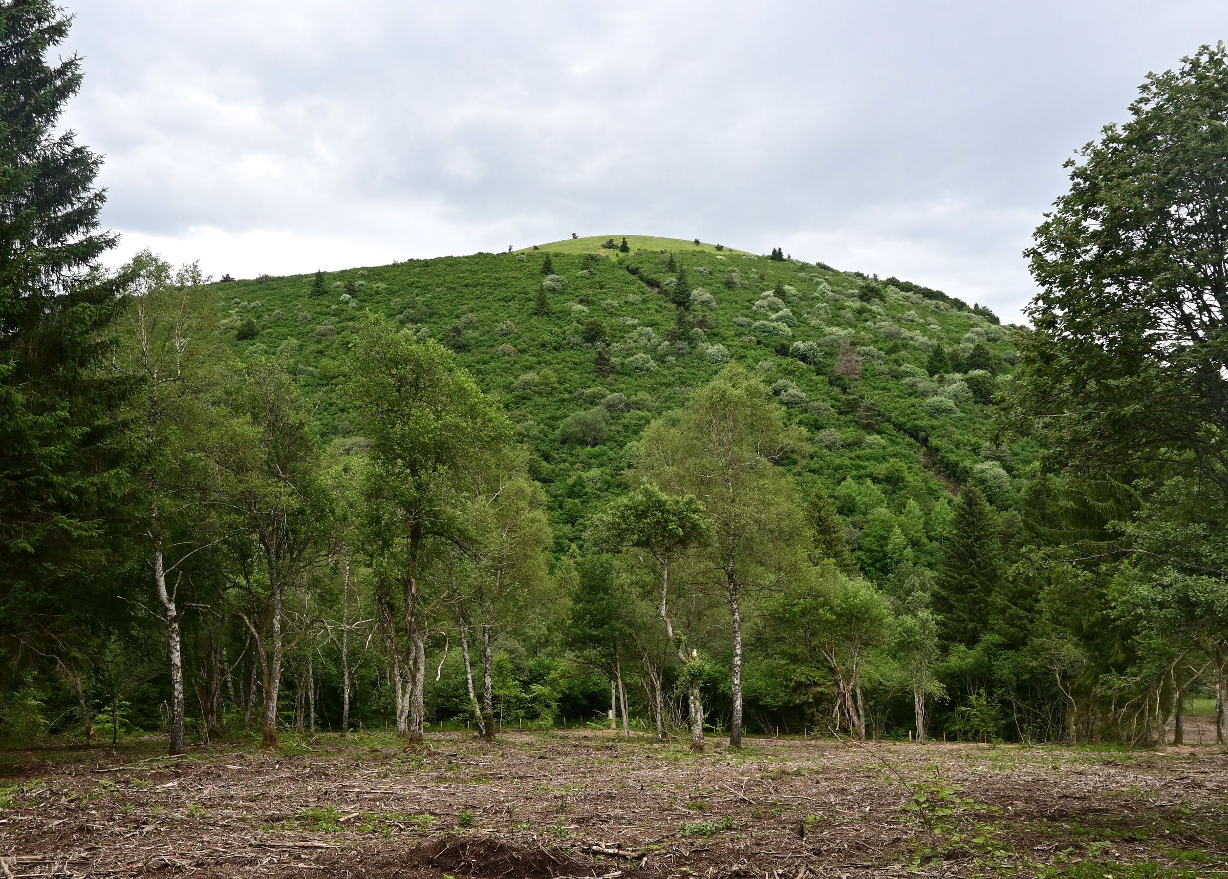 Le Puy de Côme