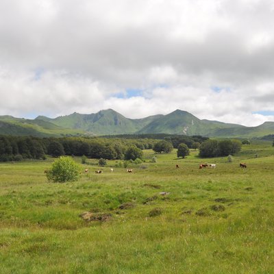 Point de vue sur le massif