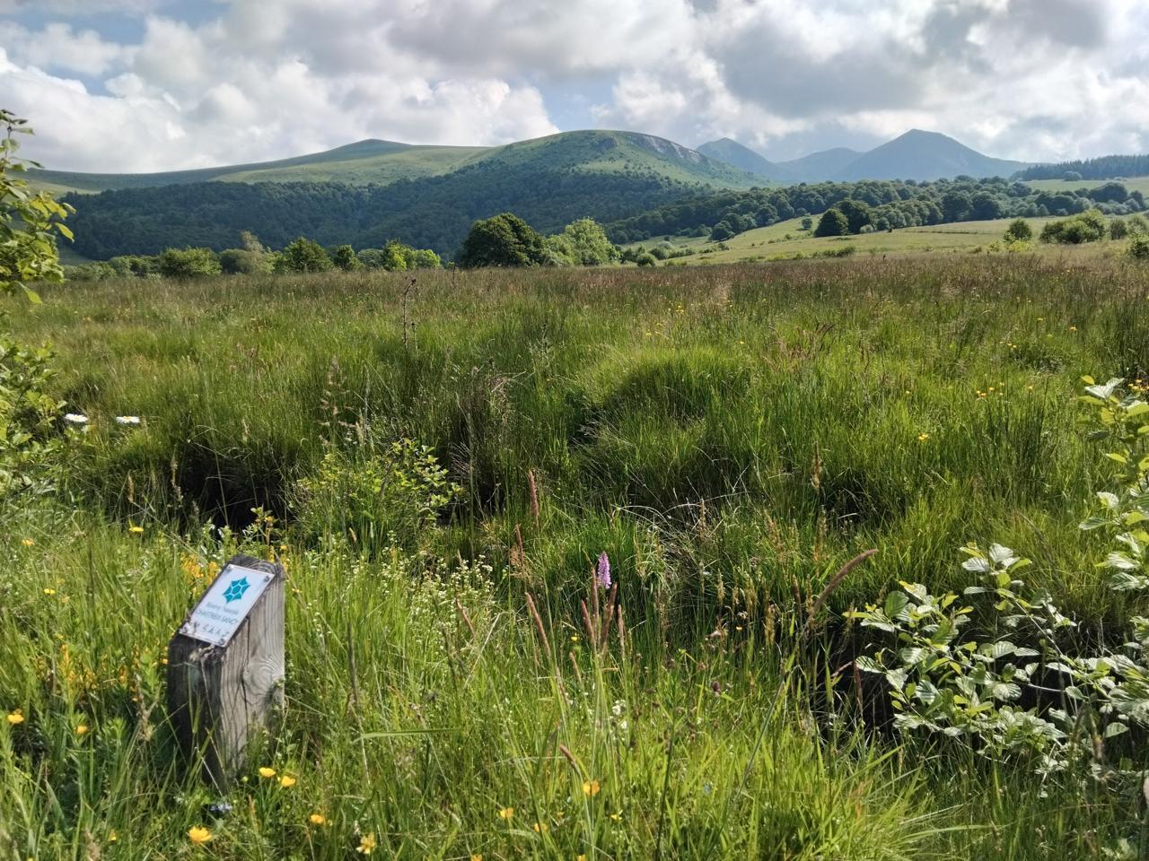 Point de vue sur le massif